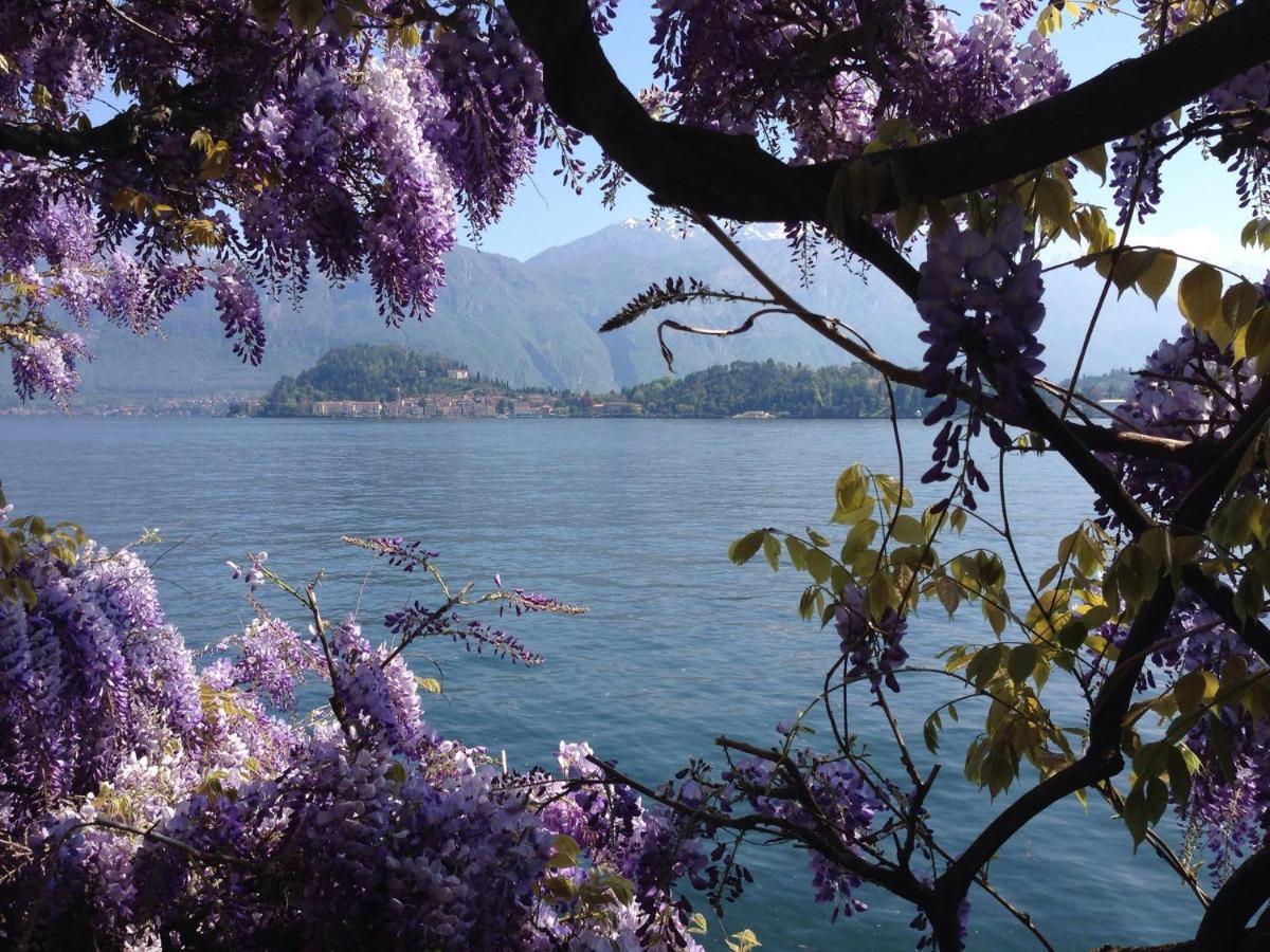 Rosa Dei Venti - Aparment In The Heart Of Bellagio With Parking Apartment Cameră foto